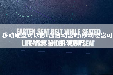 移动硬盘可以做u盘启动盘吗(移动硬盘可以做电脑主机硬盘吗)