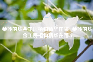 莱莎的炼金工房植物精华在哪-(莱莎的炼金工房植物精华在哪-)
