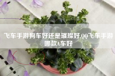 飞车手游狗车好还是璀璨好,QQ飞车手游哪款A车好