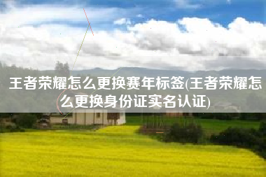 王者荣耀怎么更换赛年标签(王者荣耀怎么更换身份证实名认证)