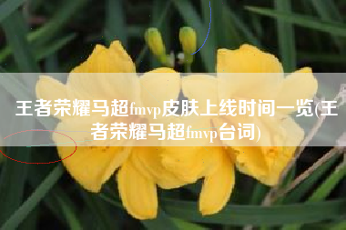王者荣耀马超fmvp皮肤上线时间一览(王者荣耀马超fmvp台词)
