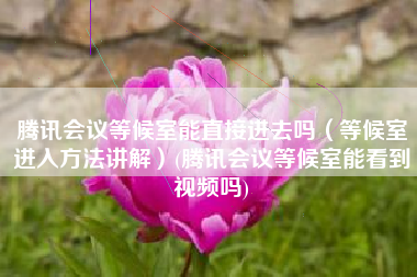 腾讯会议等候室能直接进去吗（等候室进入方法讲解）(腾讯会议等候室能看到视频吗)