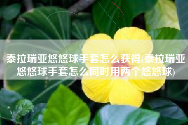 泰拉瑞亚悠悠球手套怎么获得(泰拉瑞亚悠悠球手套怎么同时用两个悠悠球)