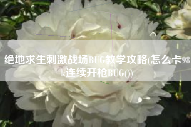 绝地求生刺激战场BUG教学攻略(怎么卡98k连续开枪BUG())