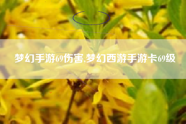 梦幻手游69伤害,梦幻西游手游卡69级