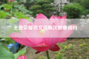 王者荣耀铭文页每次都要调吗