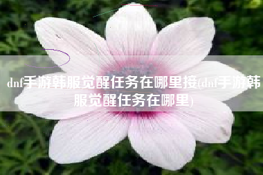 dnf手游韩服觉醒任务在哪里接(dnf手游韩服觉醒任务在哪里)