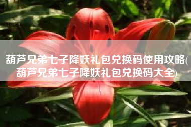 葫芦兄弟七子降妖礼包兑换码使用攻略(葫芦兄弟七子降妖礼包兑换码大全)