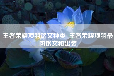 王者荣耀项羽铭文种类_王者荣耀项羽最肉铭文和出装