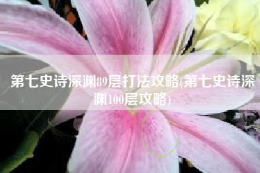 第七史诗深渊89层打法攻略(第七史诗深渊100层攻略)