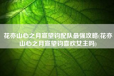 花亦山心之月宣望钧配队最强攻略(花亦山心之月宣望钧喜欢女主吗)
