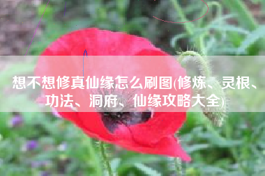 想不想修真仙缘怎么刷图(修炼、灵根、功法、洞府、仙缘攻略大全)