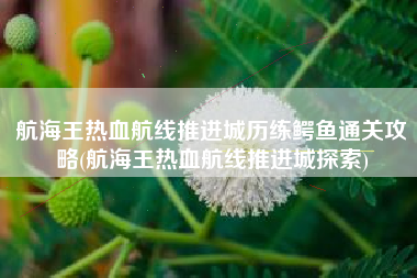 航海王热血航线推进城历练鳄鱼通关攻略(航海王热血航线推进城探索)