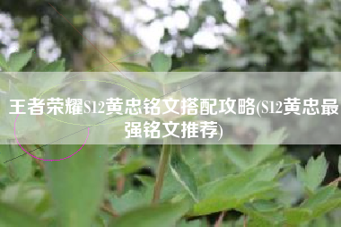 王者荣耀S12黄忠铭文搭配攻略(S12黄忠最强铭文推荐)