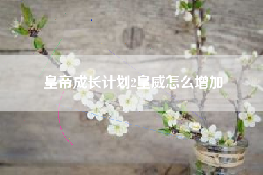 皇帝成长计划2皇威怎么增加