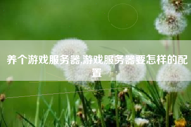 养个游戏服务器,游戏服务器要怎样的配置