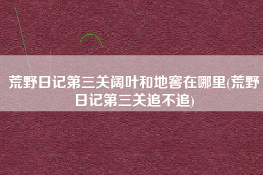 荒野日记第三关阔叶和地窖在哪里(荒野日记第三关追不追)