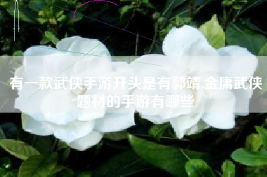 有一款武侠手游开头是有郭靖,金庸武侠题材的手游有哪些