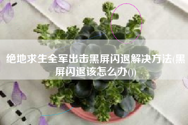 绝地求生全军出击黑屏闪退解决方法(黑屏闪退该怎么办())