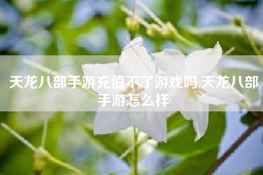天龙八部手游充值不了游戏吗,天龙八部手游怎么样
