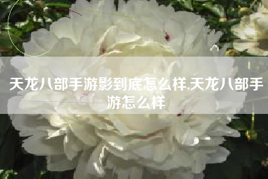 天龙八部手游影到底怎么样,天龙八部手游怎么样