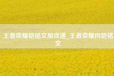 王者荣耀铠铭文加攻速_王者荣耀肉铠铭文