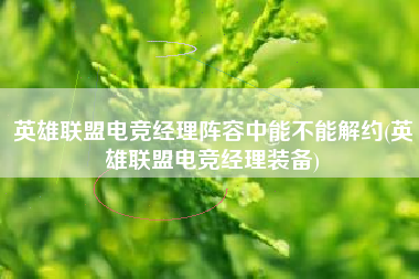 英雄联盟电竞经理阵容中能不能解约(英雄联盟电竞经理装备)