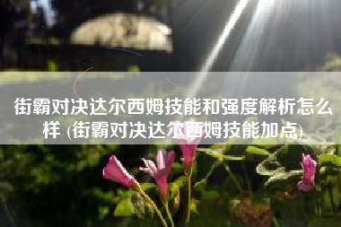 街霸对决达尔西姆技能和强度解析怎么样 (街霸对决达尔西姆技能加点)