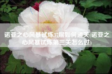 诺亚之心风暴试炼37层如何通关(诺亚之心风暴试炼第三关怎么过)