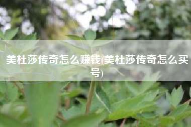 美杜莎传奇怎么赚钱(美杜莎传奇怎么买号)