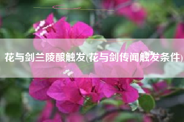 花与剑兰陵酿触发(花与剑传闻触发条件)