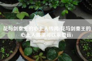 花与剑秦王的心上人传闻(花与剑秦王的心上人哪里可以采蘑菇)