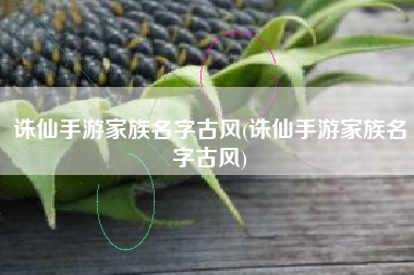 诛仙手游家族名字古风(诛仙手游家族名字古风)
