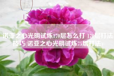 诺亚之心光明试炼170层怎么打 170层打法技巧(诺亚之心光明试炼75层打法)