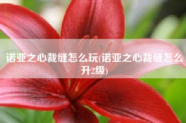 诺亚之心裁缝怎么玩(诺亚之心裁缝怎么升2级)