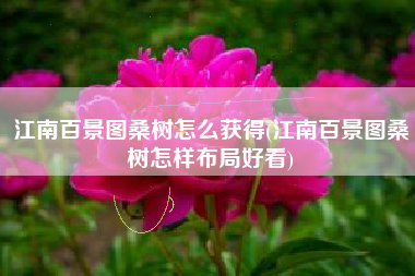 江南百景图桑树怎么获得(江南百景图桑树怎样布局好看)