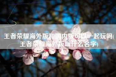王者荣耀海外版和国内版可以一起玩吗(王者荣耀海外版叫什么名字)