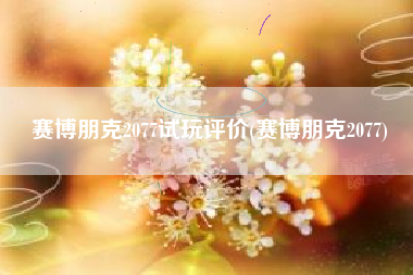 赛博朋克2077试玩评价(赛博朋克2077)
