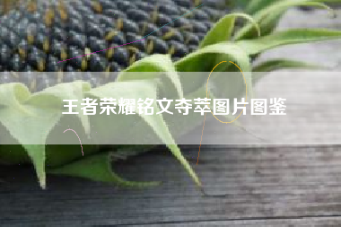王者荣耀铭文夺萃图片图鉴