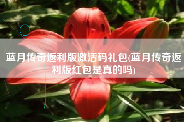 蓝月传奇返利版激活码礼包(蓝月传奇返利版红包是真的吗)