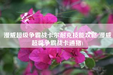 漫威超级争霸战卡尔耐克技能攻略(漫威超级争霸战卡通猪)