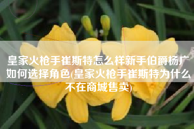 皇家火枪手崔斯特怎么样新手伯爵杨广如何选择角色(皇家火枪手崔斯特为什么不在商城售卖)