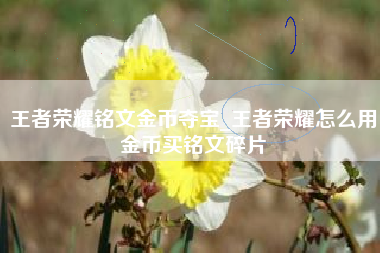 王者荣耀铭文金币夺宝_王者荣耀怎么用金币买铭文碎片