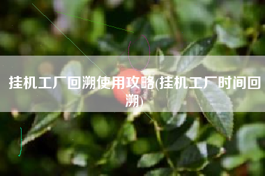 挂机工厂回溯使用攻略(挂机工厂时间回溯)