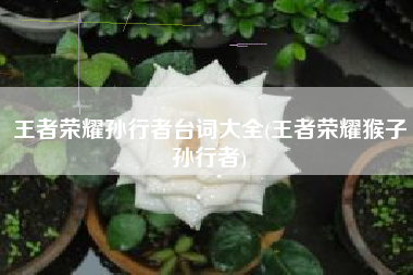 王者荣耀孙行者台词大全(王者荣耀猴子孙行者)