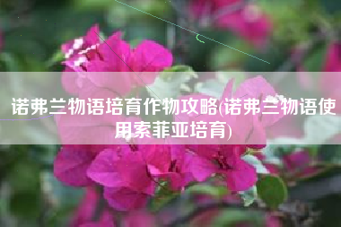 诺弗兰物语培育作物攻略(诺弗兰物语使用索菲亚培育)