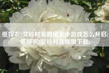 纸嫁衣2奘铃村笔筒接水小游戏怎么开启(纸嫁衣2奘铃村在哪里下载)