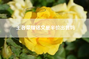 王者荣耀铭文是半价出售吗