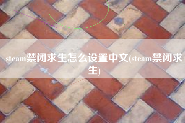 steam禁闭求生怎么设置中文(steam禁闭求生)