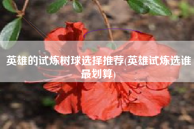 英雄的试炼树球选择推荐(英雄试炼选谁最划算)